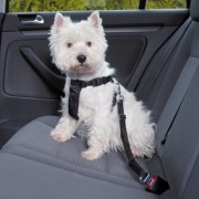 La cintura di sicurezza per cani by Trixie