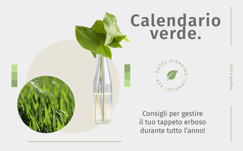 Calendario Verde: agosto
